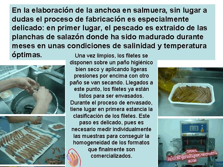 En la elaboración de la anchoa en salmuera, sin lugar a dudas el proceso