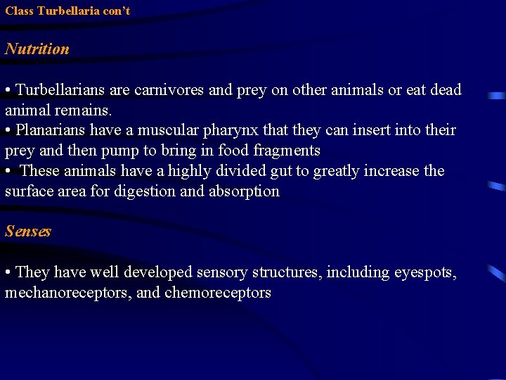Class Turbellaria con’t Nutrition • Turbellarians are carnivores and prey on other animals or Class Turbellaria con’t Nutrition • Turbellarians are carnivores and prey on other animals or