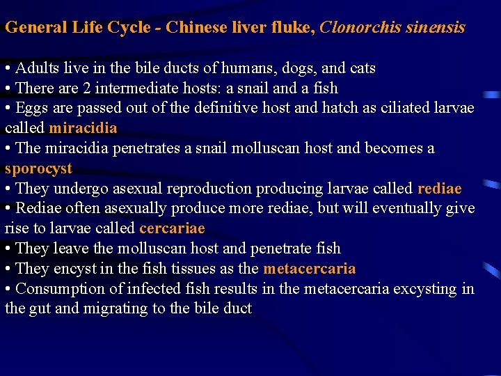 General Life Cycle - Chinese liver fluke, Clonorchis sinensis • Adults live in the General Life Cycle - Chinese liver fluke, Clonorchis sinensis • Adults live in the