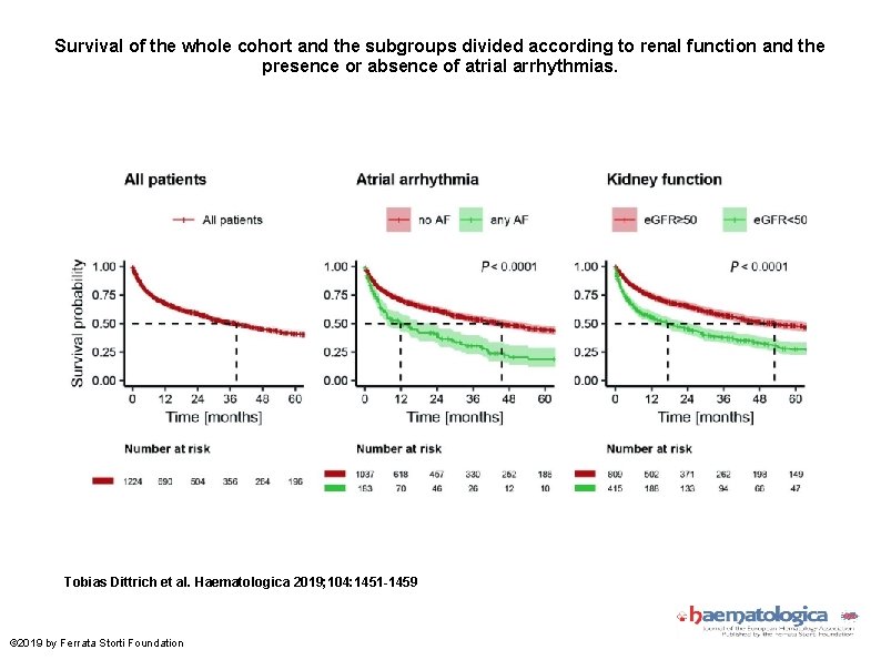 Survival of the whole cohort and the subgroups divided according to renal function and