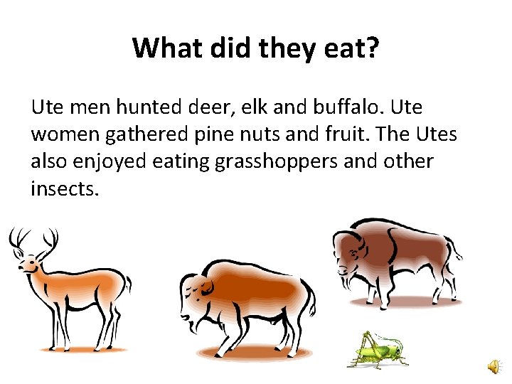 What did they eat? Ute men hunted deer, elk and buffalo. Ute women gathered