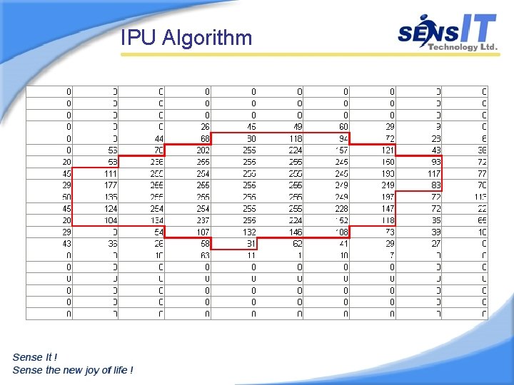 IPU Algorithm 