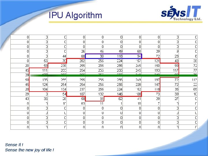 IPU Algorithm 