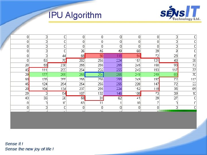 IPU Algorithm 