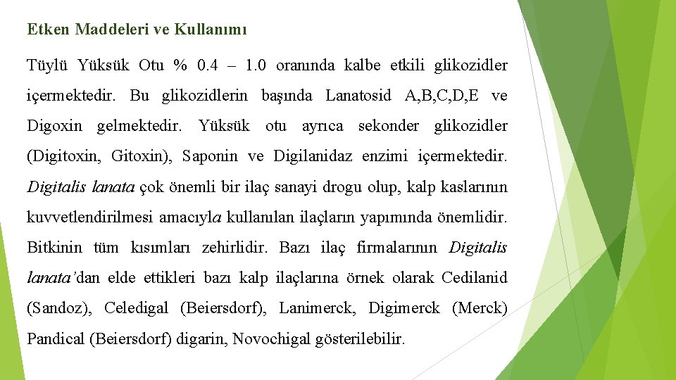 Etken Maddeleri ve Kullanımı Tüylü Yüksük Otu % 0. 4 – 1. 0 oranında