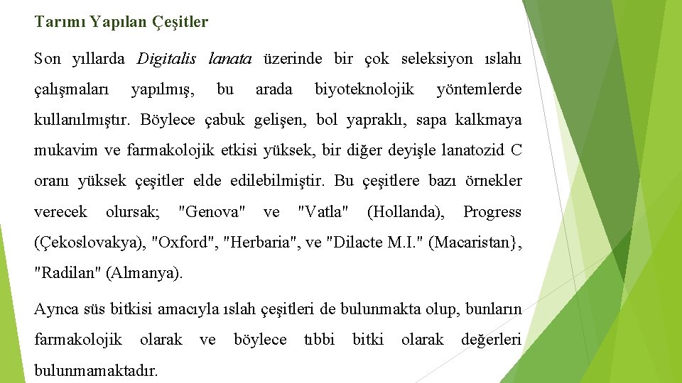 Tarımı Yapılan Çeşitler Son yıllarda Digitalis lanata üzerinde bir çok seleksiyon ıslahı çalışmaları yapılmış,