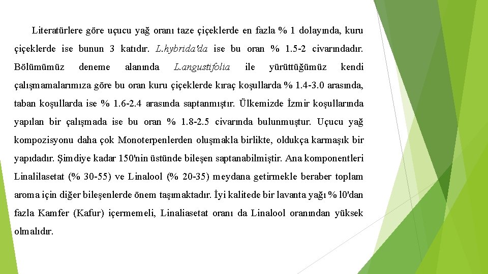 Literatürlere göre uçucu yağ oranı taze çiçeklerde en fazla % 1 dolayında, kuru çiçeklerde