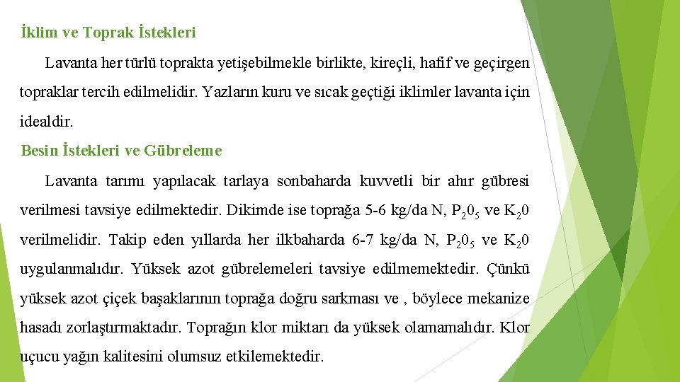 İklim ve Toprak İstekleri Lavanta her türlü toprakta yetişebilmekle birlikte, kireçli, hafif ve geçirgen