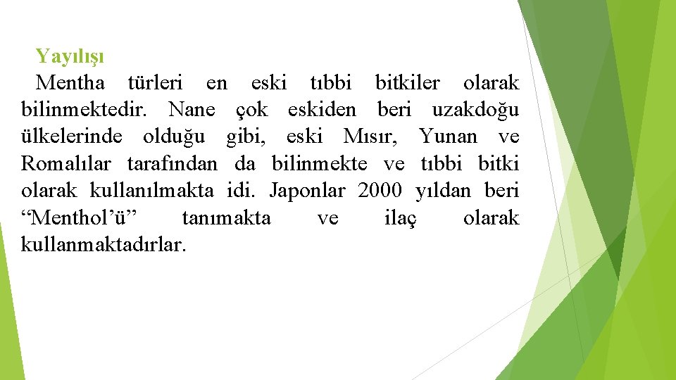 Yayılışı Mentha türleri en eski tıbbi bitkiler olarak bilinmektedir. Nane çok eskiden beri uzakdoğu