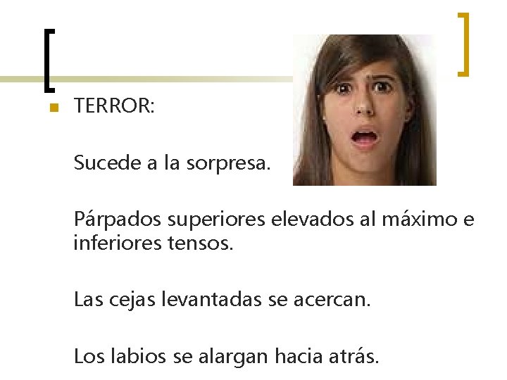 n TERROR: Sucede a la sorpresa. Párpados superiores elevados al máximo e inferiores tensos.