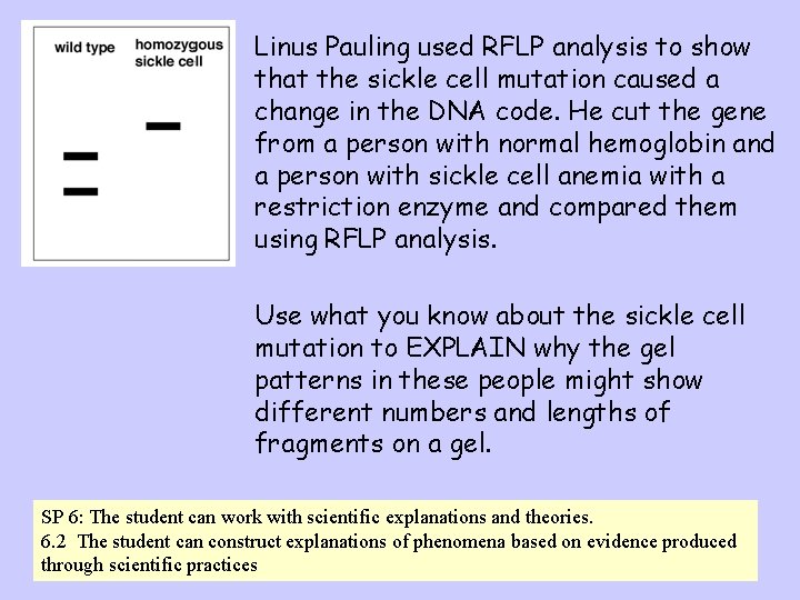 Linus Pauling used RFLP analysis to show that the sickle cell mutation caused a