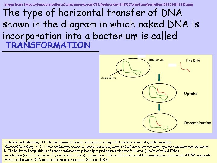 Image from: https: //classconnection. s 3. amazonaws. com/737/flashcards/1944737/png/transformation 1352235811443. png The type of horizontal