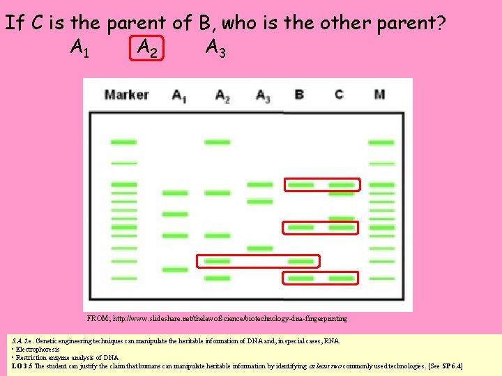 If C is the parent of B, who is the other parent? A 1