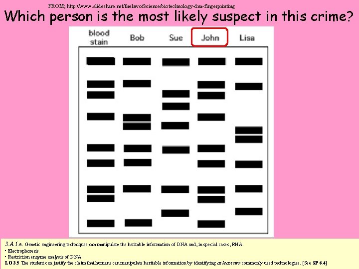 FROM; http: //www. slideshare. net/thelawofscience/biotechnology-dna-fingerprinting Which person is the most likely suspect in this