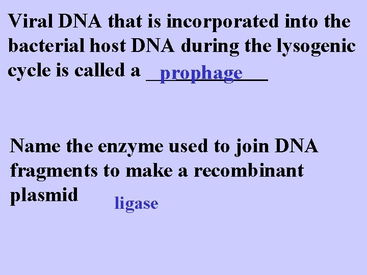 Viral DNA that is incorporated into the bacterial host DNA during the lysogenic cycle