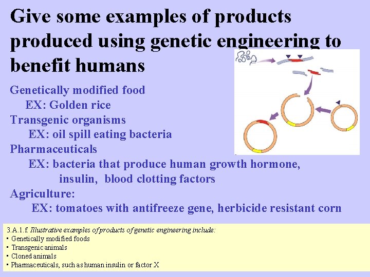 Give some examples of products produced using genetic engineering to benefit humans Genetically modified