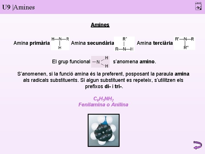 U 9 |Amines Amina primària Amina secundària El grup funcional Amina terciària s’anomena amino.