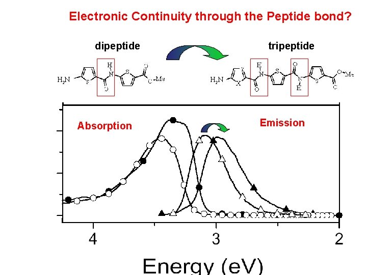 Electronic Continuity through the Peptide bond? dipeptide tripeptide H 2 N Absorption Emission 