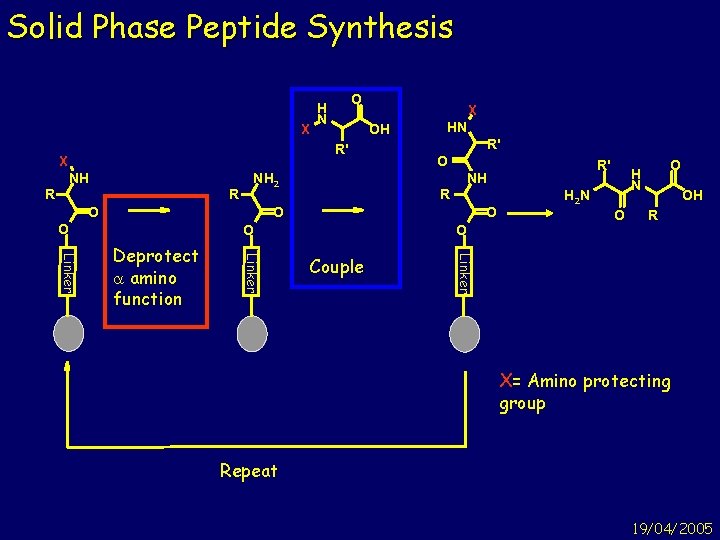 Solid Phase Peptide Synthesis X O H N OH R' X NH R R