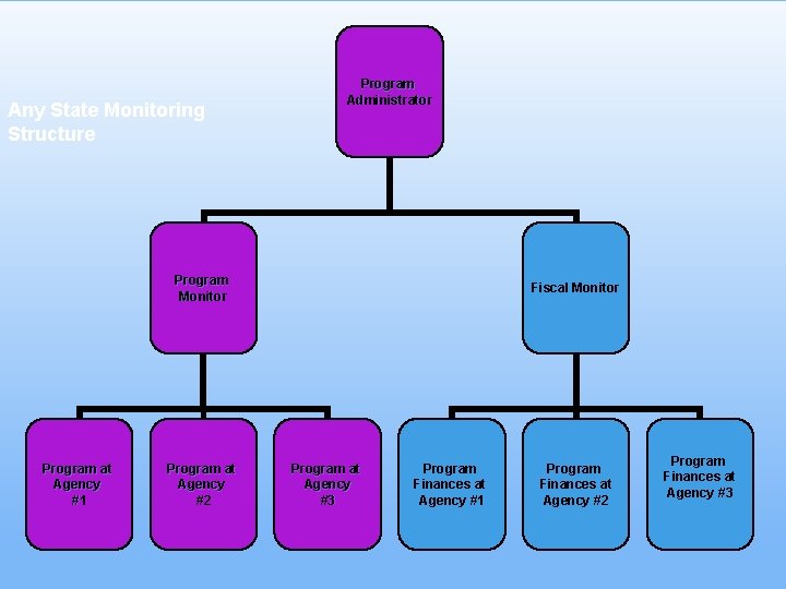 Any State Monitoring Structure Program Administrator Program Monitor Program at Agency #1 Program at