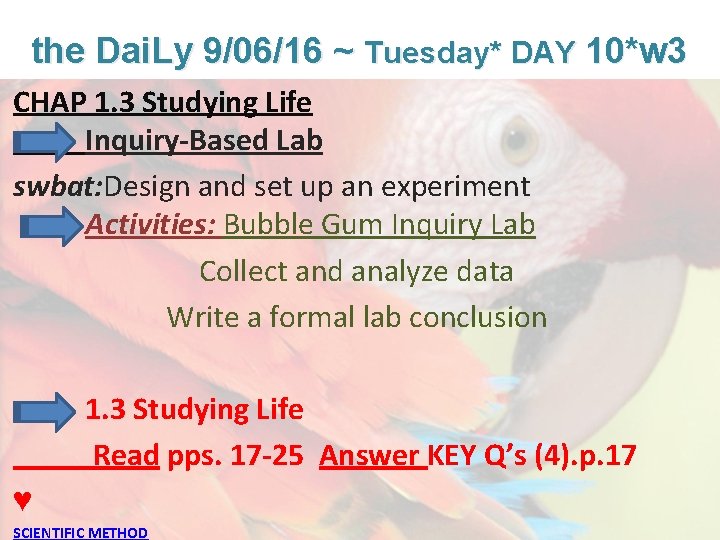 Lesson Overview What is Ecology? the Dai. Ly 9/06/16 ~ Tuesday* DAY 10*w 3