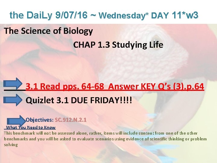 Lesson Overview What is Ecology? the Dai. Ly 9/07/16 ~ Wednesday* DAY 11*w 3