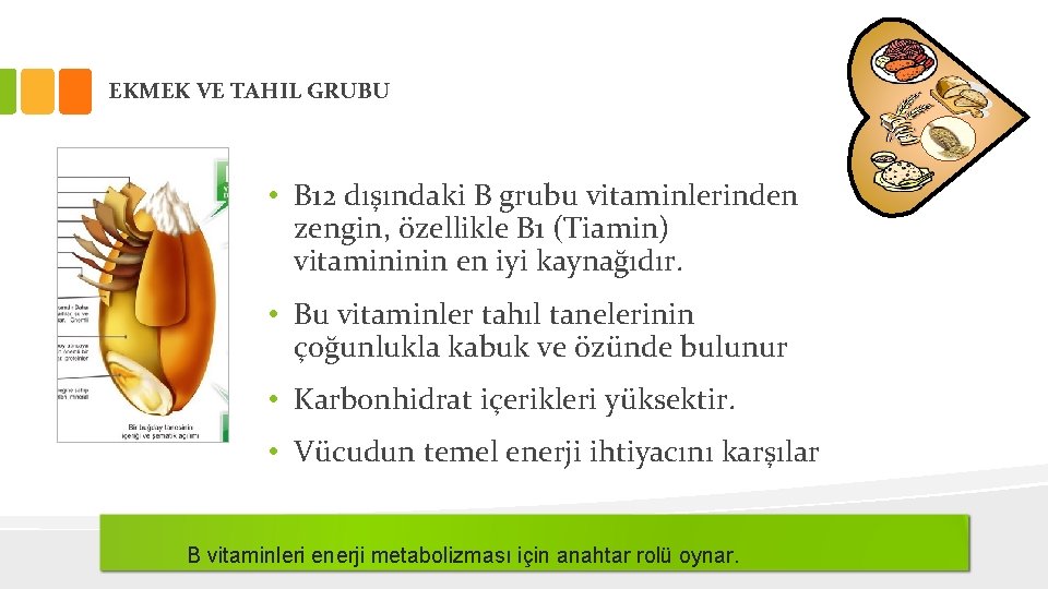 EKMEK VE TAHIL GRUBU • B 12 dışındaki B grubu vitaminlerinden zengin, özellikle B