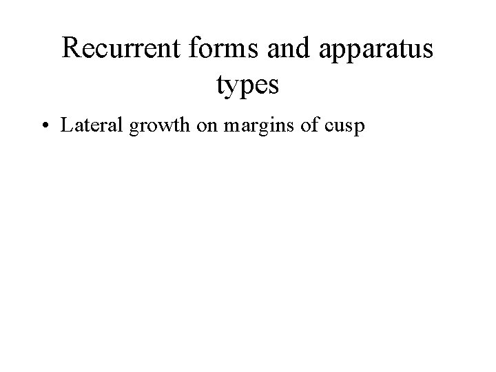Recurrent forms and apparatus types • Lateral growth on margins of cusp 