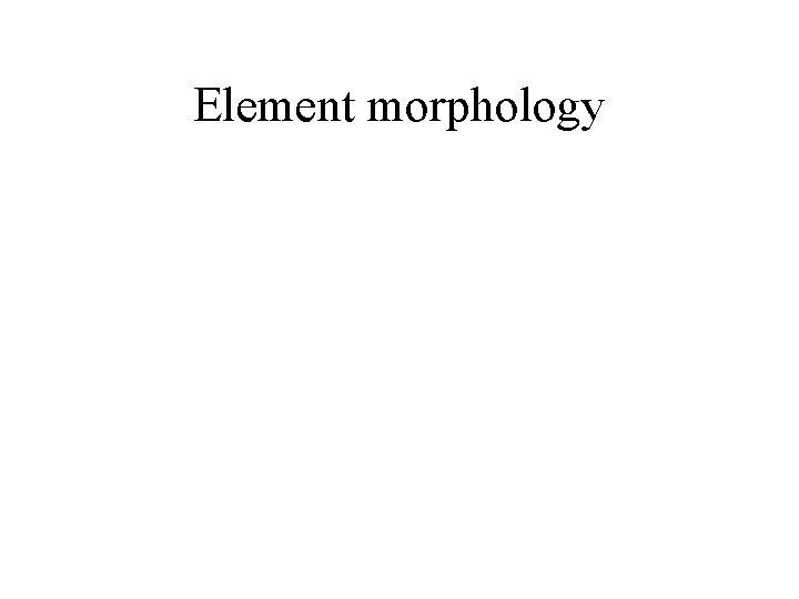 Element morphology 