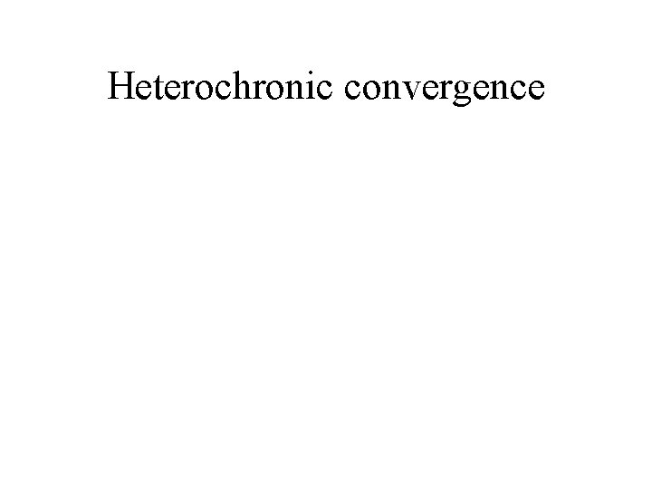 Heterochronic convergence 