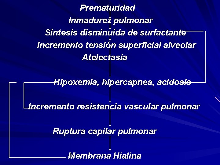 Prematuridad Inmadurez pulmonar Síntesis disminuída de surfactante Incremento tensión superficial alveolar Atelectasia Hipoxemia, hipercapnea,