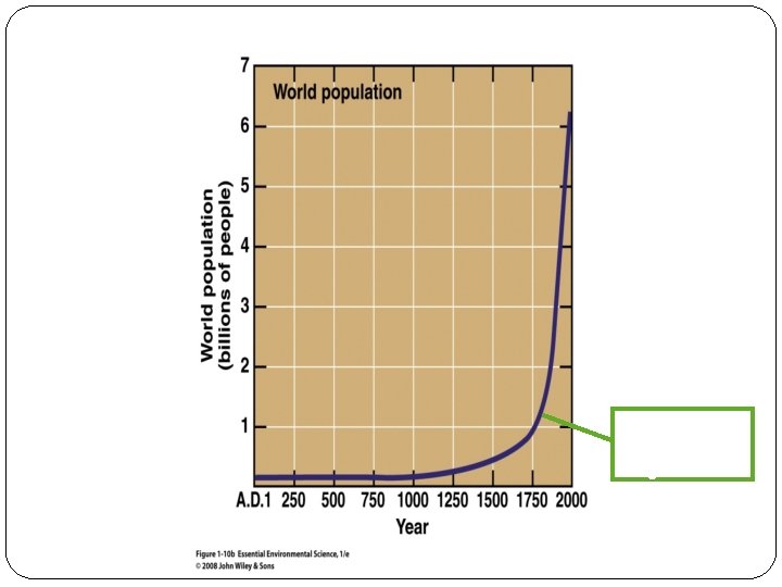 What caused this rapid growth? 