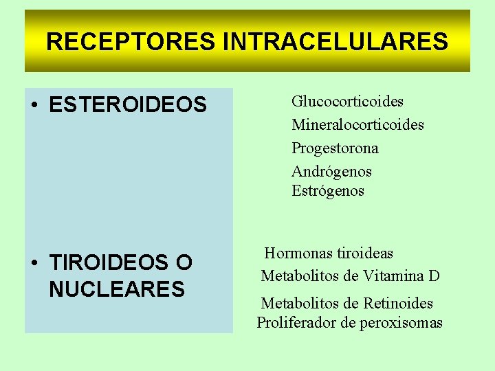 RECEPTORES INTRACELULARES • ESTEROIDEOS • TIROIDEOS O NUCLEARES Glucocorticoides Mineralocorticoides Progestorona Andrógenos Estrógenos Hormonas