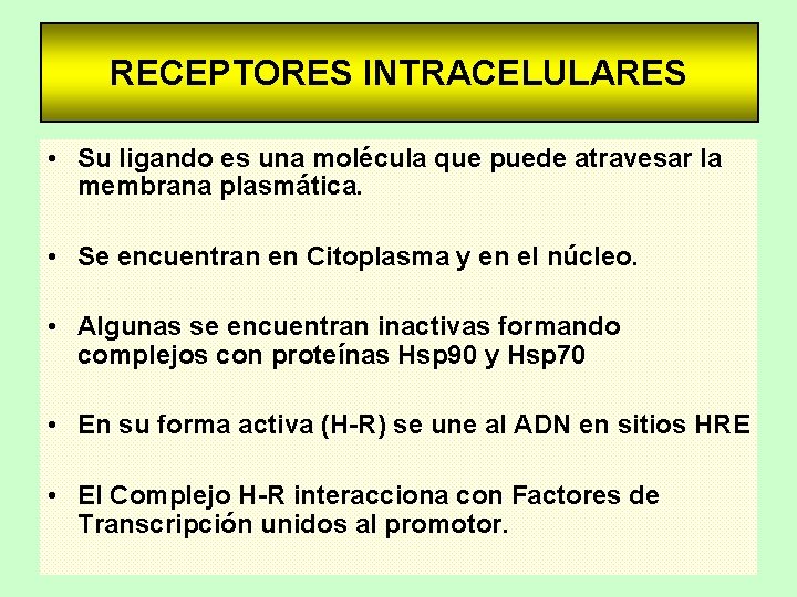 RECEPTORES INTRACELULARES • Su ligando es una molécula que puede atravesar la membrana plasmática.