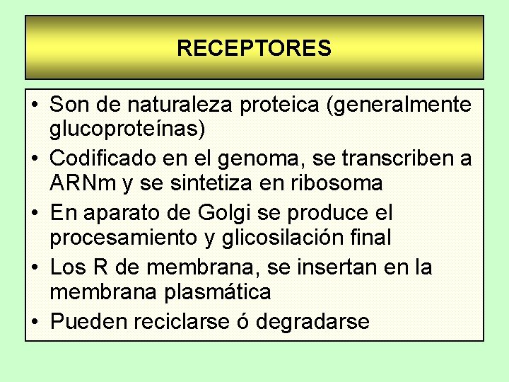RECEPTORES • Son de naturaleza proteica (generalmente glucoproteínas) • Codificado en el genoma, se