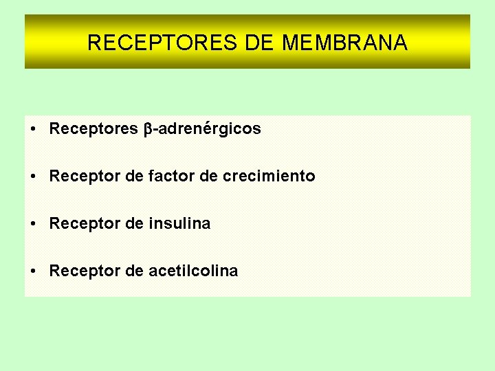 RECEPTORES DE MEMBRANA • Receptores b-adrenérgicos • Receptor de factor de crecimiento • Receptor