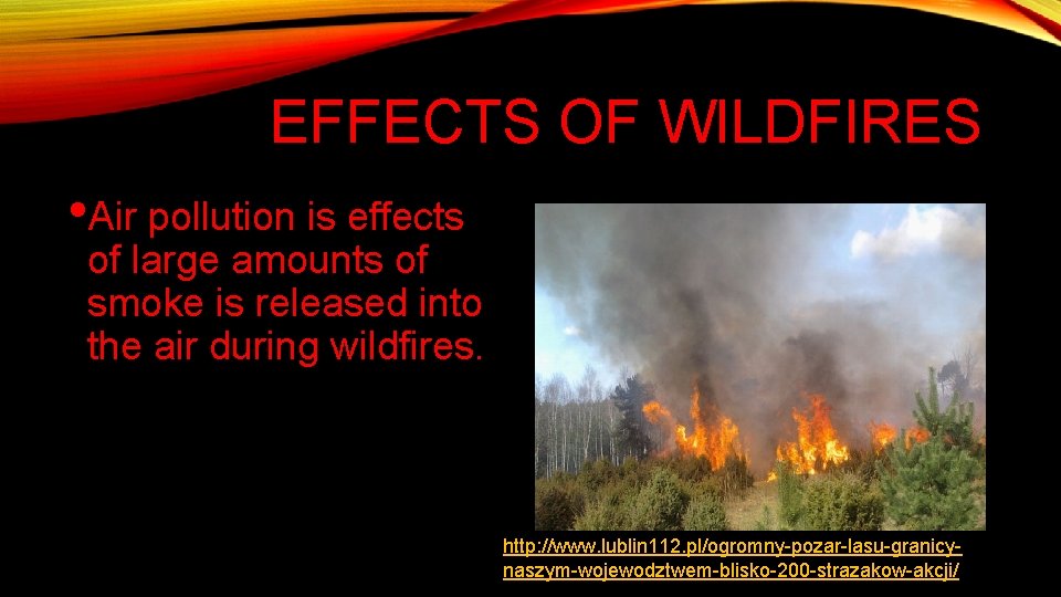 EFFECTS OF WILDFIRES • Air pollution is effects of large amounts of smoke is