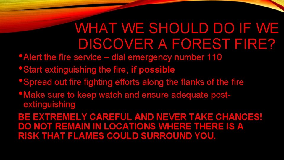 WHAT WE SHOULD DO IF WE DISCOVER A FOREST FIRE? • Alert the fire