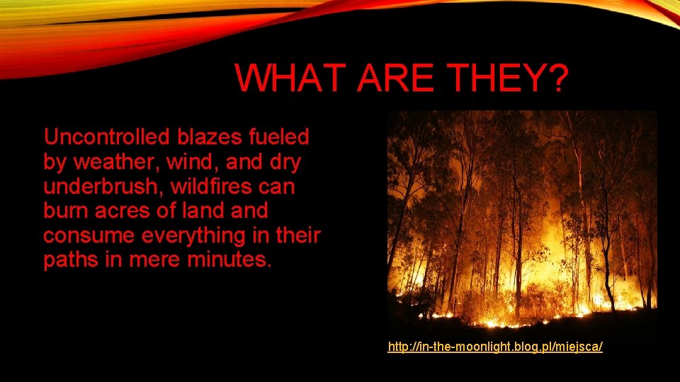 WHAT ARE THEY? Uncontrolled blazes fueled by weather, wind, and dry underbrush, wildfires can