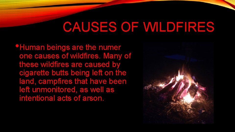 CAUSES OF WILDFIRES • Human beings are the numer one causes of wildfires. Many