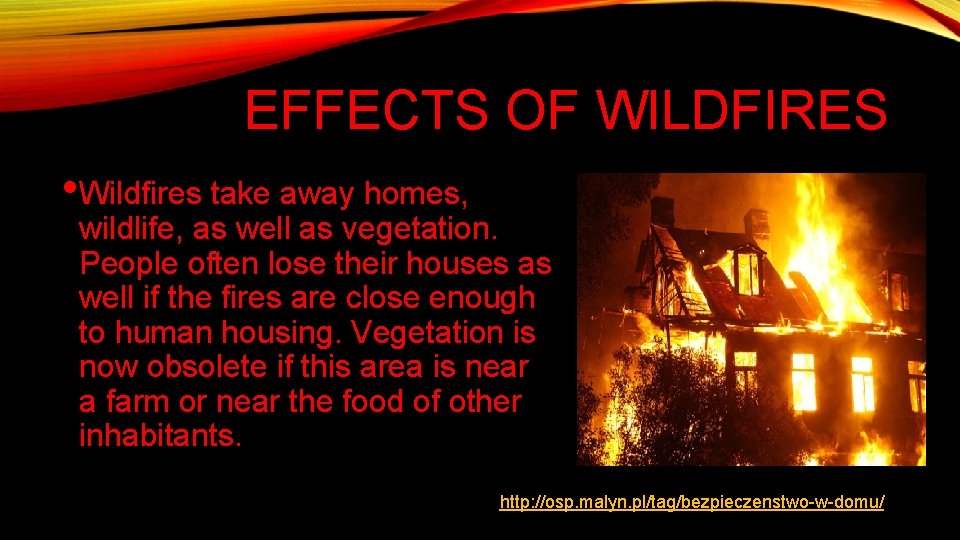 EFFECTS OF WILDFIRES • Wildfires take away homes, wildlife, as well as vegetation. People
