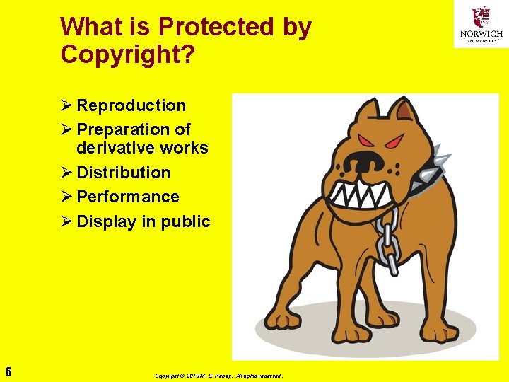 What is Protected by Copyright? Ø Reproduction Ø Preparation of derivative works Ø Distribution