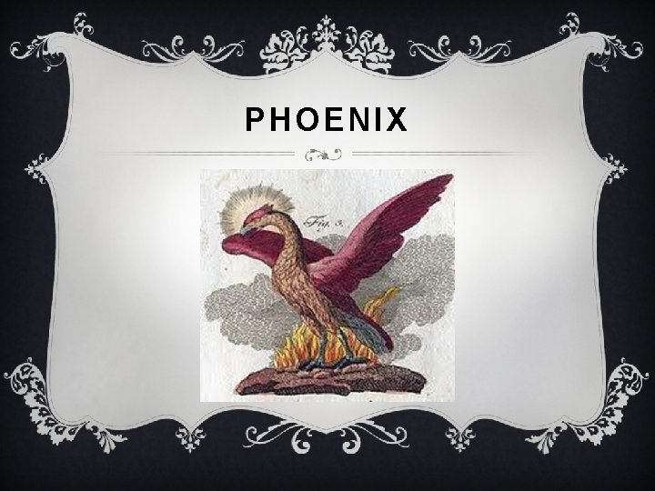 PHOENIX 