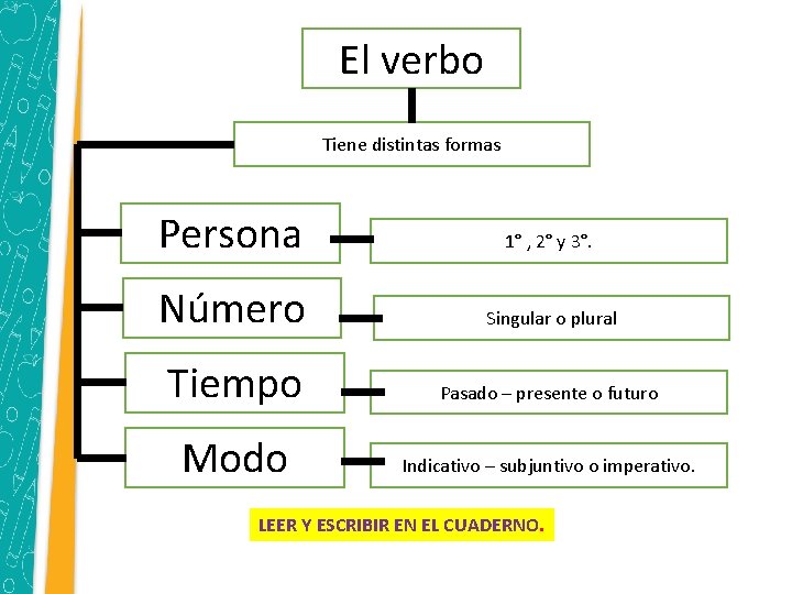 El verbo Tiene distintas formas Persona 1° , 2° y 3°. Número Singular o