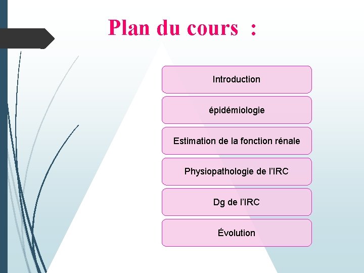 Plan du cours : Introduction épidémiologie Estimation de la fonction rénale Physiopathologie de l’IRC