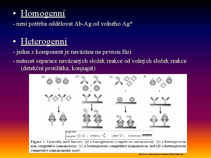  • Homogenní - není potřeba oddělovat Ab-Ag od volného Ag* • Heterogenní -