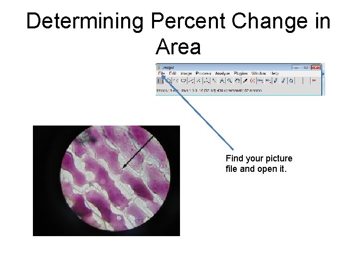 Determining Percent Change in Area Find your picture file and open it. 