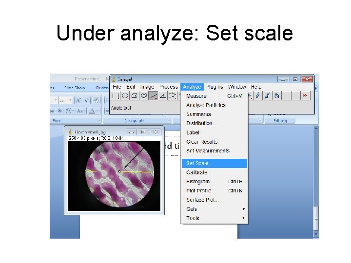 Under analyze: Set scale 