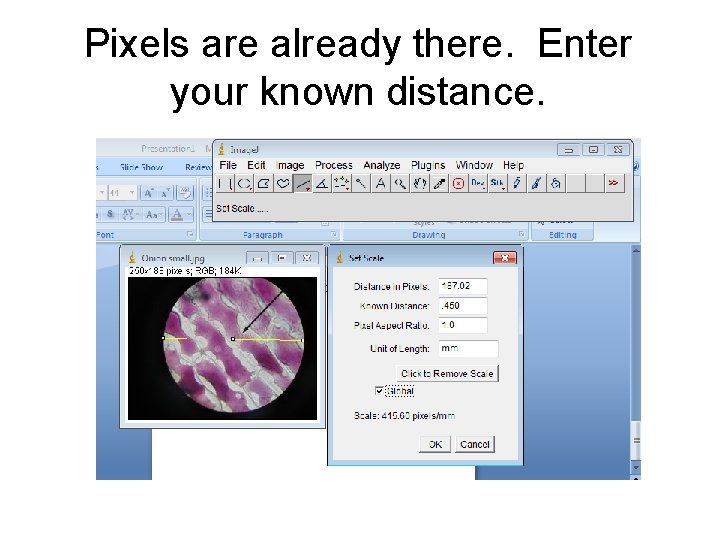 Pixels are already there. Enter your known distance. 