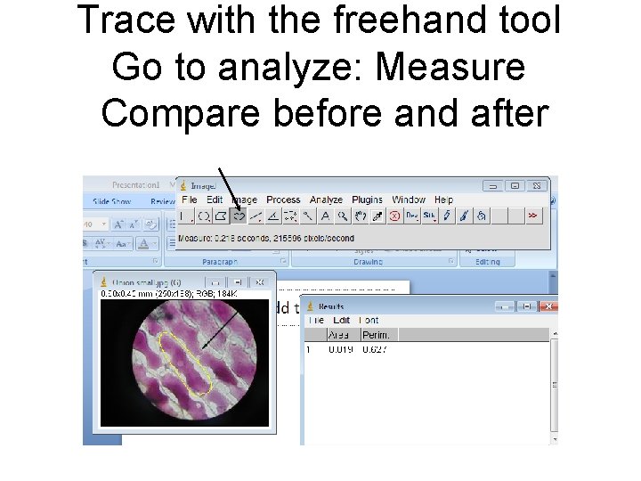 Trace with the freehand tool Go to analyze: Measure Compare before and after 